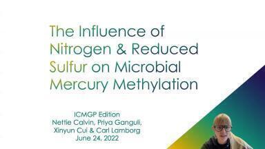 Nitrogen Stimulation Of Mercury Methylation In An Estuarine Lagoon